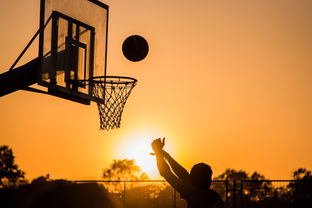 Leyu Sports (乐鱼体育)-中国篮球俱乐部青训人才选拔与培养机制，中国篮球青训体系