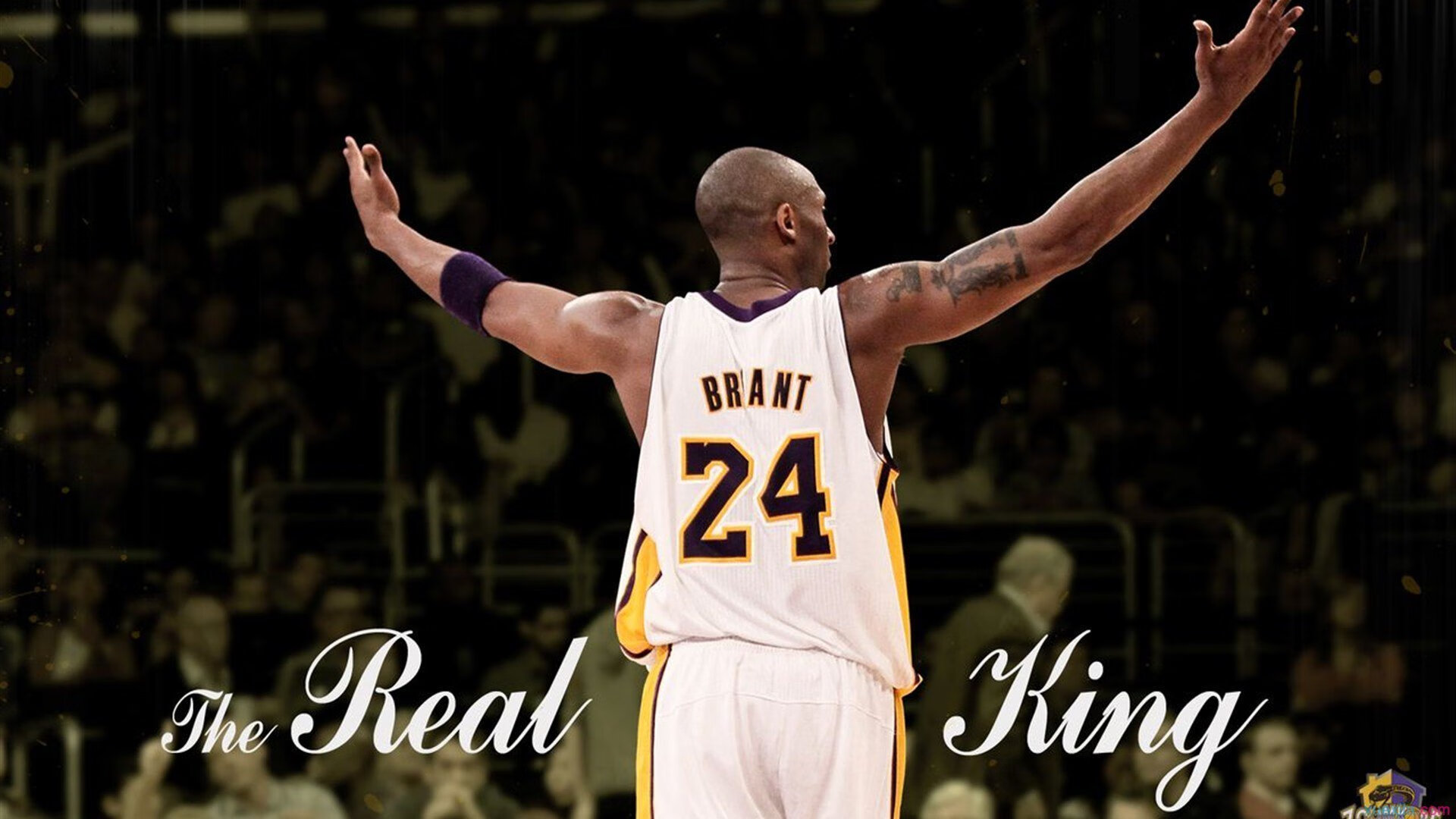 乐鱼娱乐app-“高新体育中心篮球赛：全场沸腾，精彩绝伦”