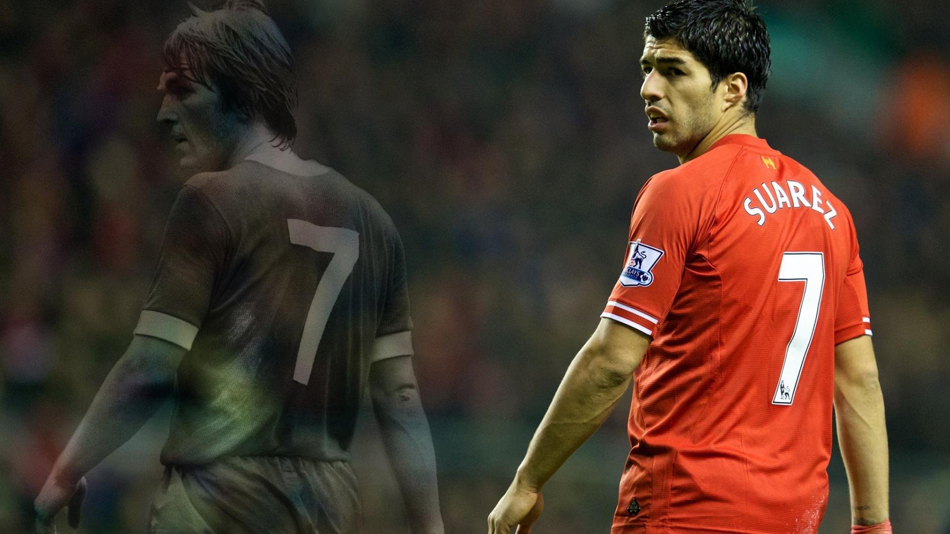 新闻中心全面解读客户满意度调研报告引发行业高度关注，请简述客户满意度调查的主要活动及工作流程